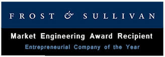 FLYIT Awarded Frost and Sullivan Entrepreneurial Company of the Year